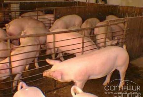 Cursos de Plaguicidas de Uso Agrario y Bienestar Animal en la Campiña Sur 