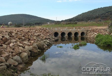 672.000 € en la restauración forestal de cauces de la Campiña Sur 